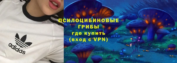 2c-b Бронницы