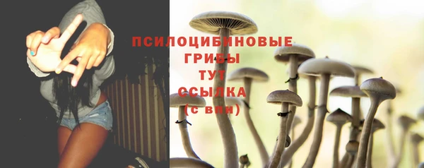 стафф Бугульма