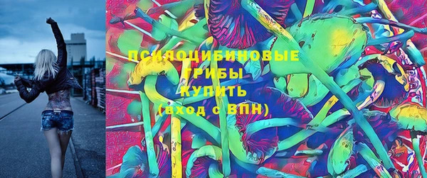 mdma Бородино