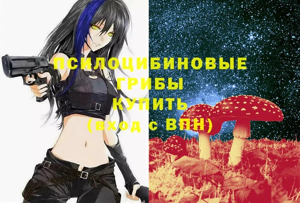 mdma Бородино
