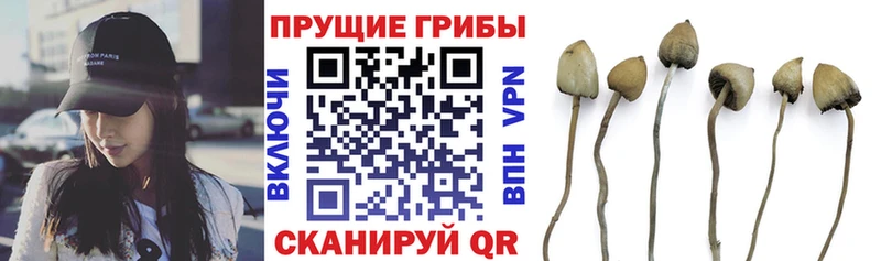 Галлюциногенные грибы мухоморы  закладки  Медынь 